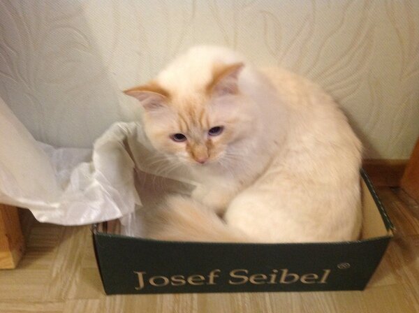 Фото с просторов интернета