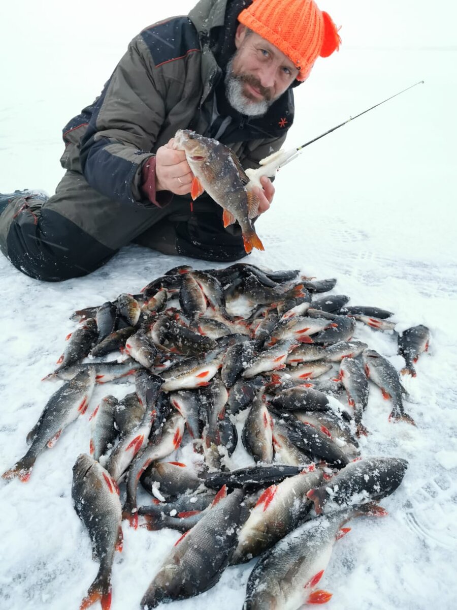 Куршский залив рыбалка