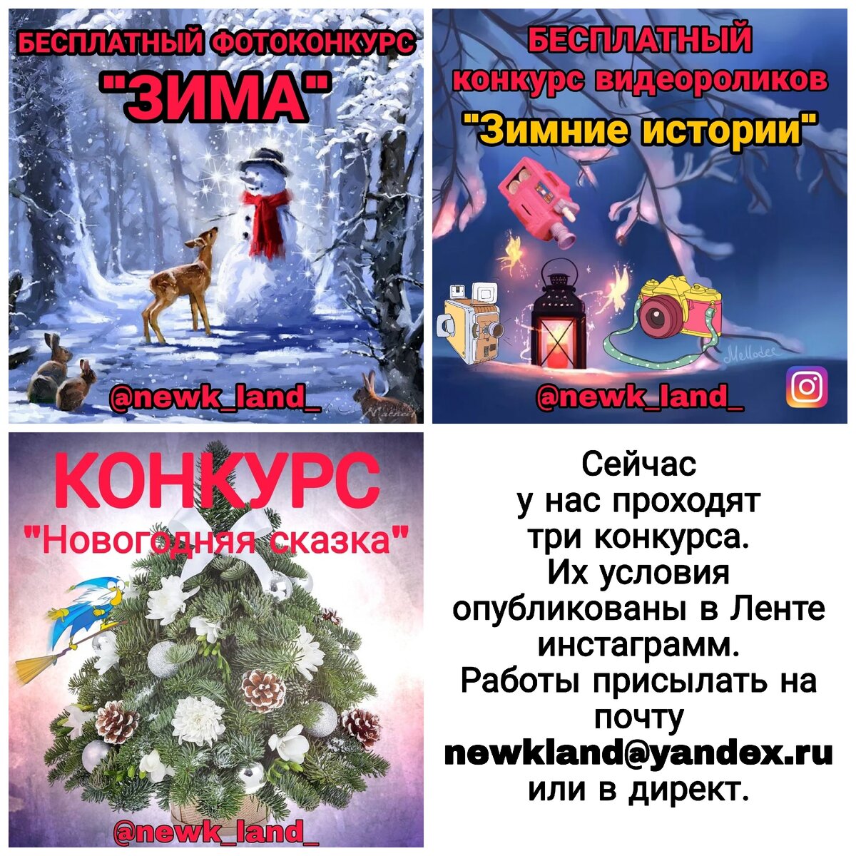 Три бесплатных конкурса проходят в инстаграм на профиле @newk_land_