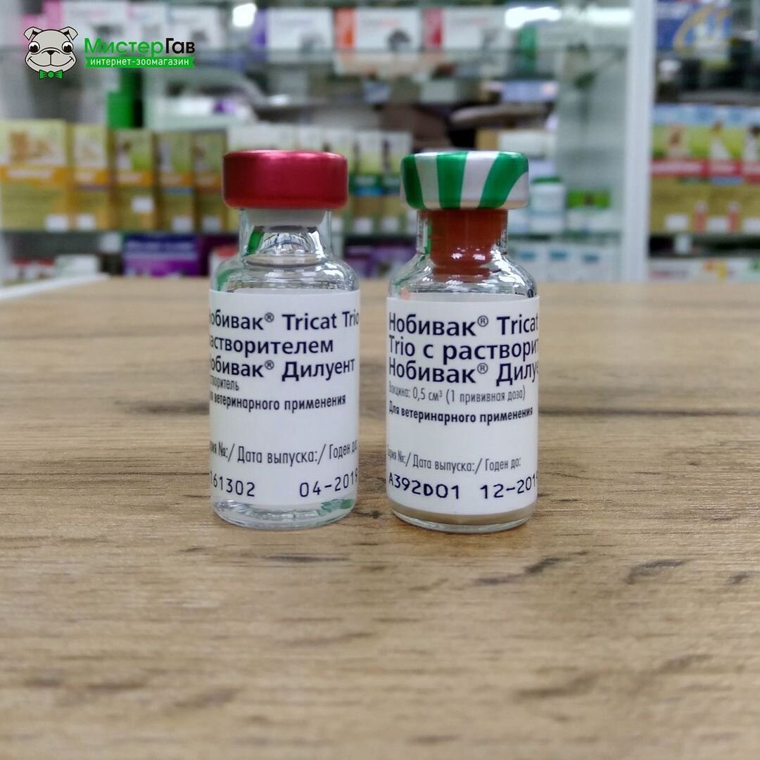 Фото интернет-магазина Мистер Гав