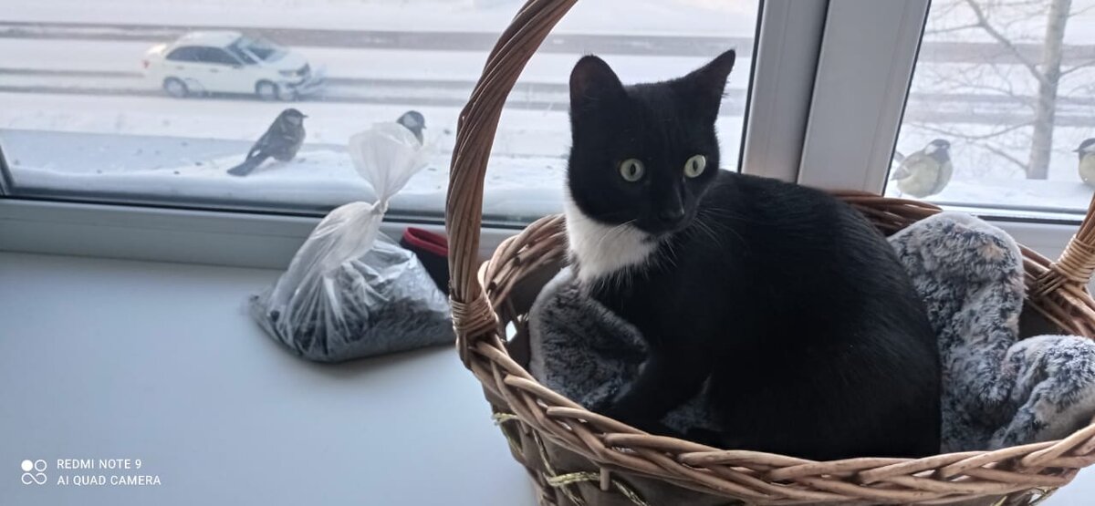 Кузяша собственной персоной