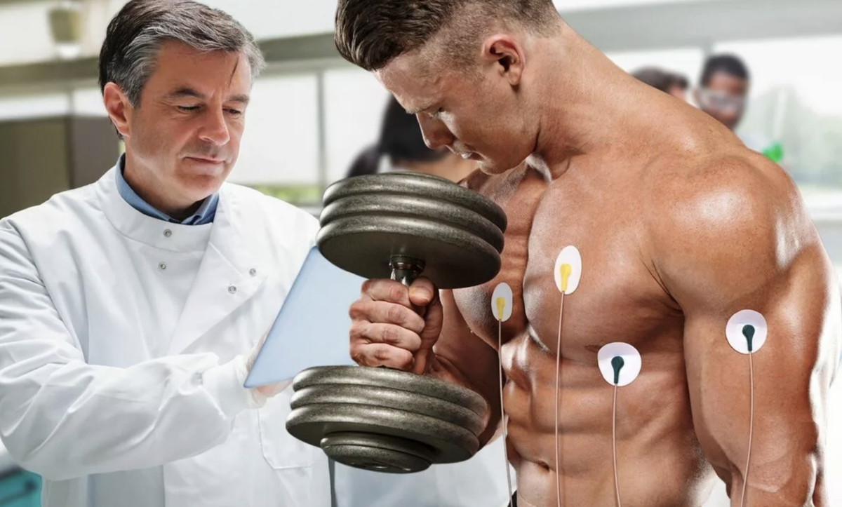 Какие мышечные группы лучше тренировать в один день | Заметки тренера