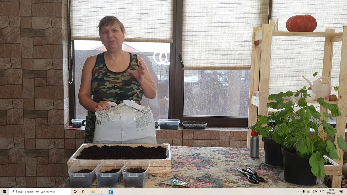 Какой грунт выбрать для рассады