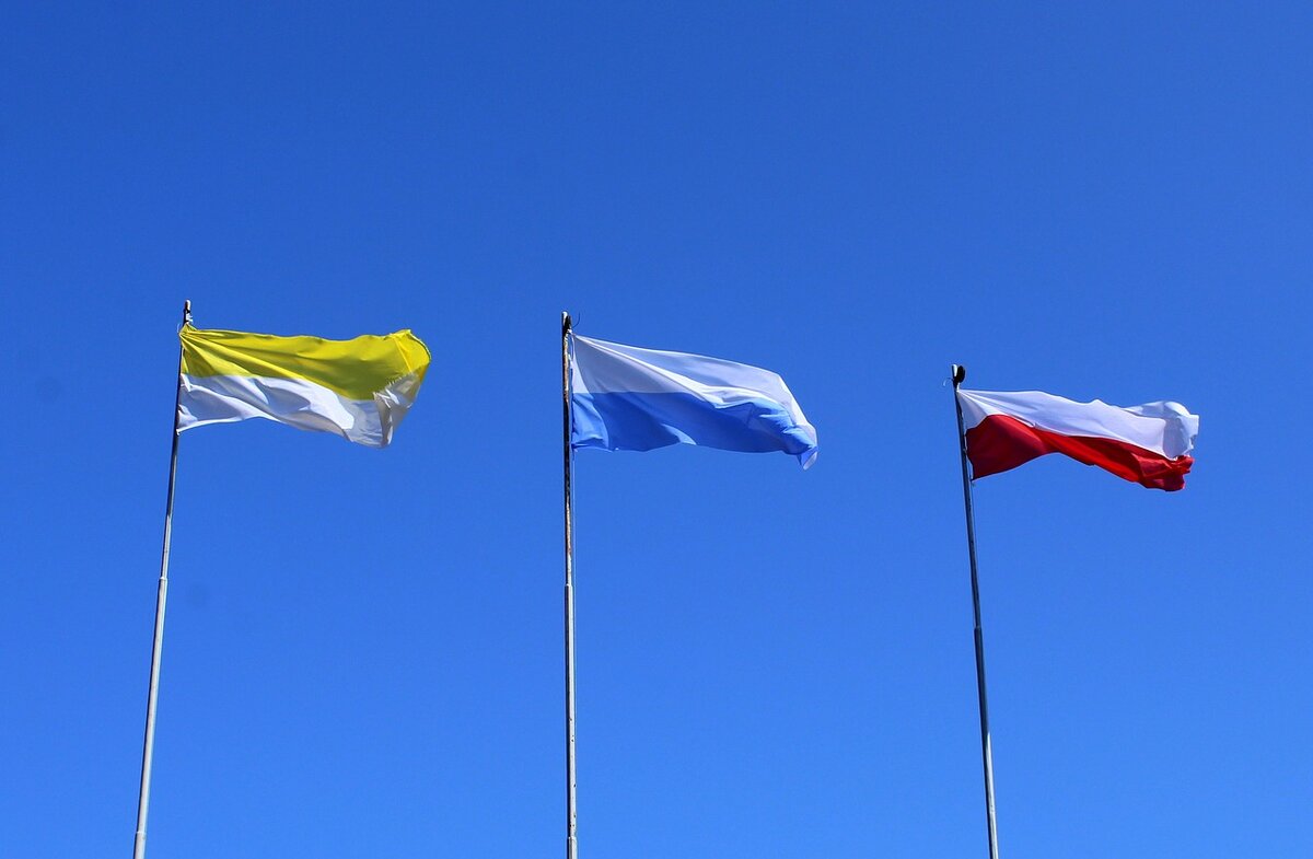 Изображение с бесплатного стока фотографий https://pixabay.com/ru
