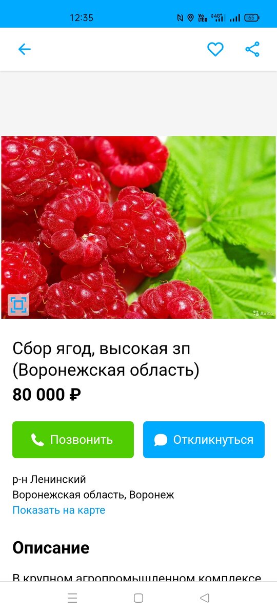 Конечно же повелись на сумму в 80 тысяч в месяц!)