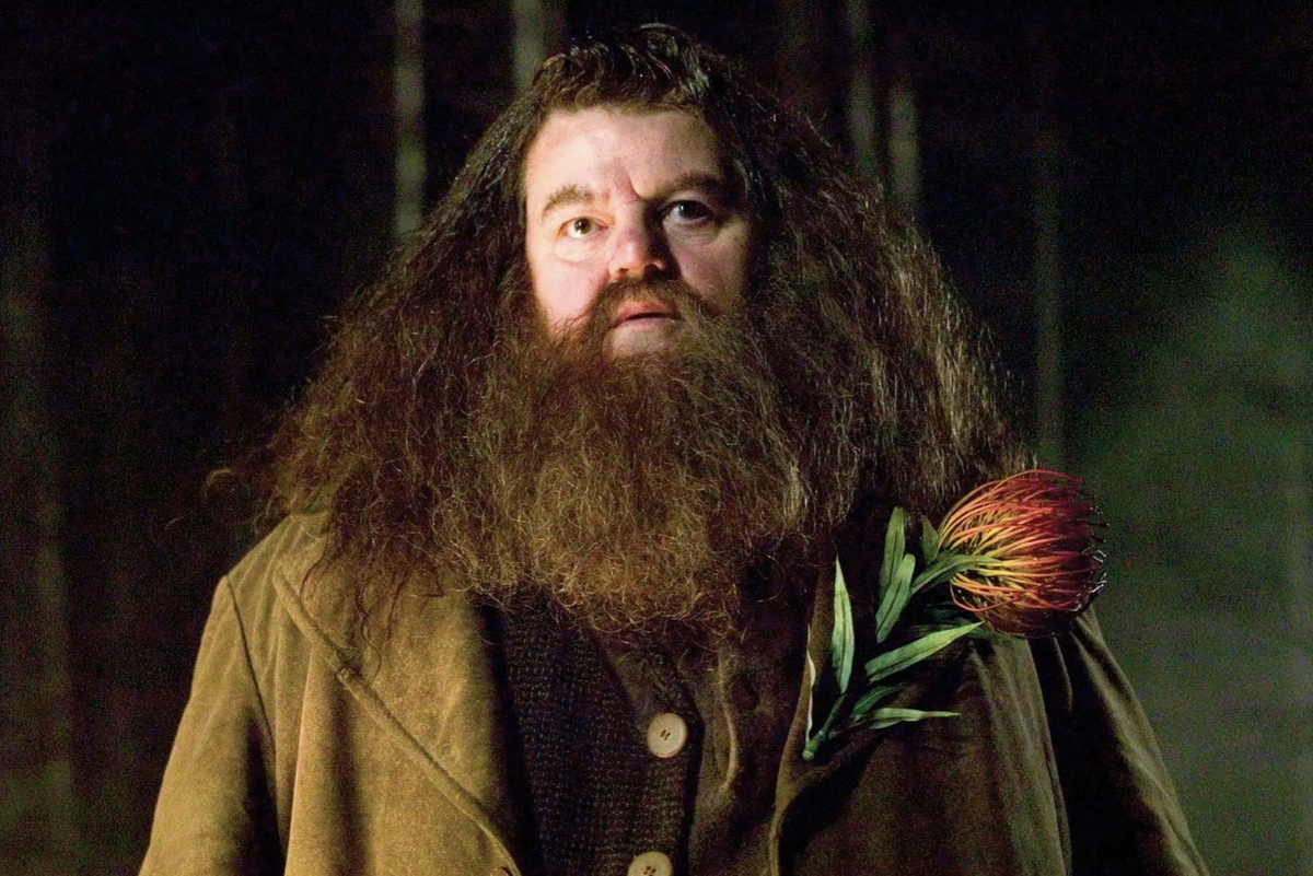 Hagrid harry. Хагрид Гарри Поттер. Рубеус Хагрид. Робби Колтрейн Хагрид. Рубеус Хагрид и Гарри Поттер.