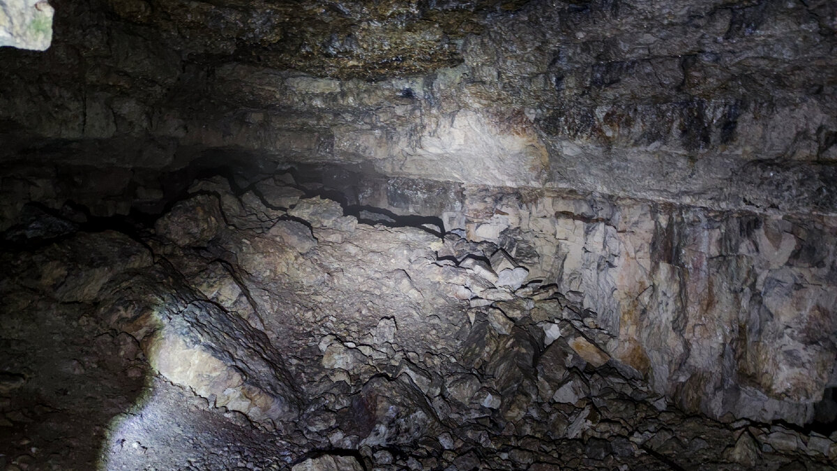 Летняя Лисичка