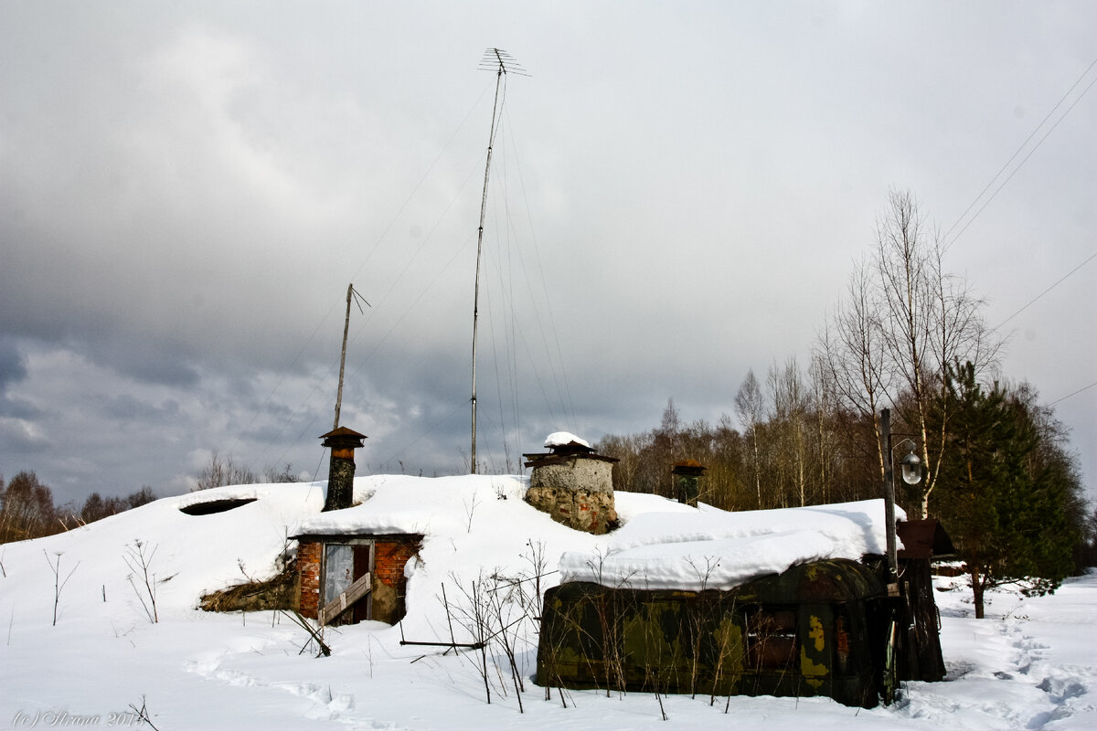 Полянка посреди леса