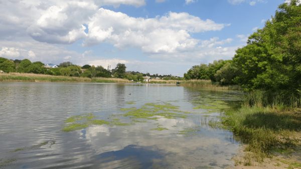 Источник фото: минприроды.рф