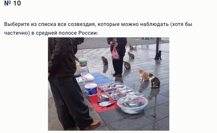 Школьная Олимпиада по предмету, которого нет3