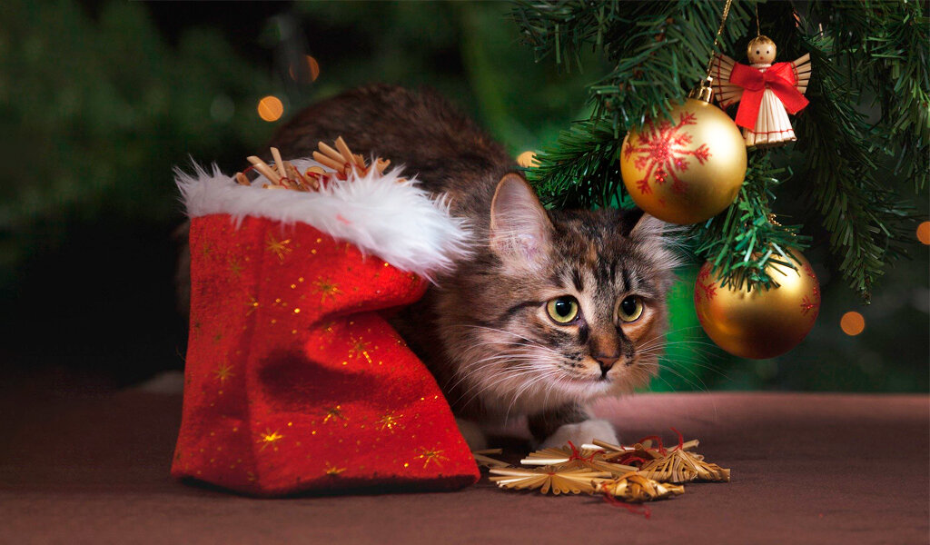 Photocredit: Unsplash