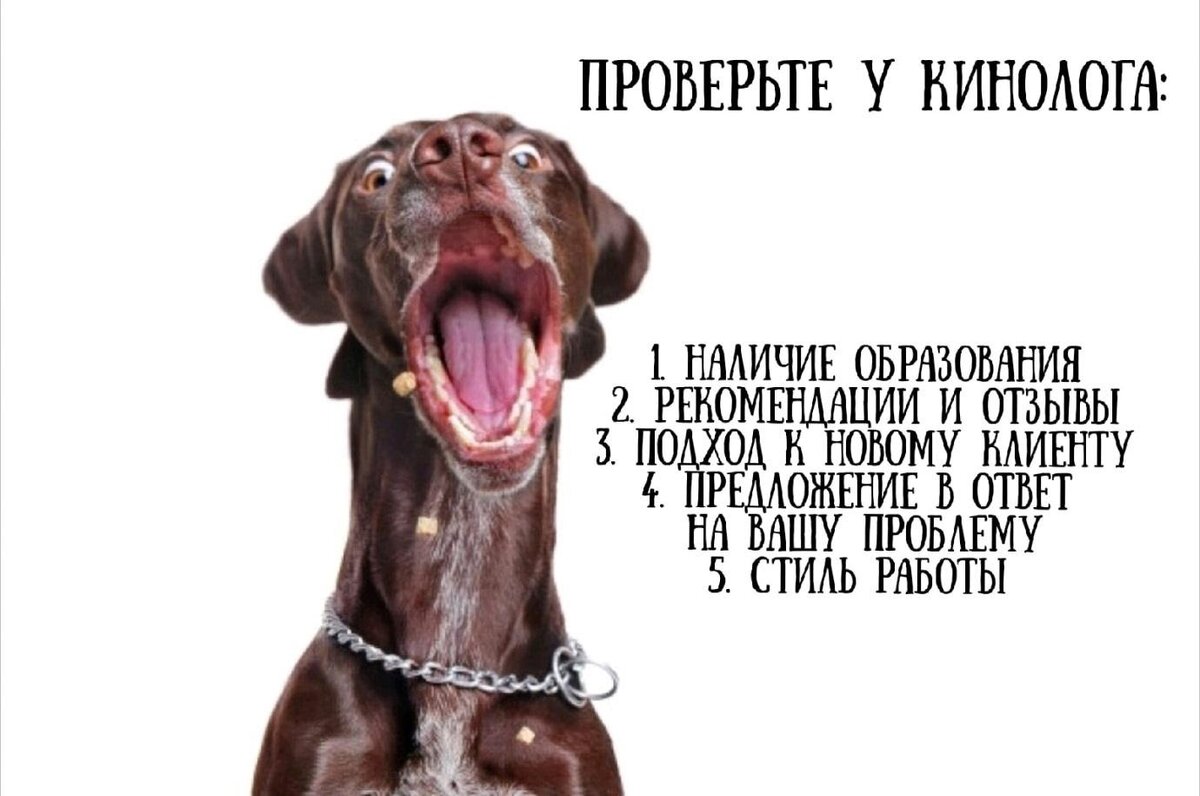 ru.freepik.com 