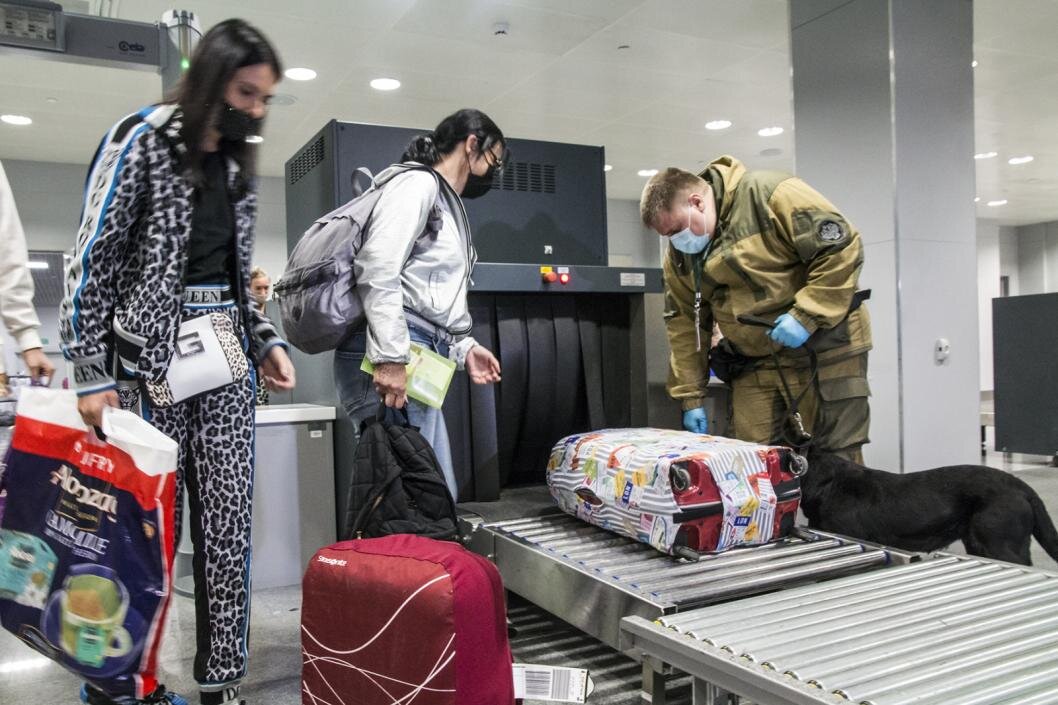 Сергей Елесин, ИА "Тюменская линия"