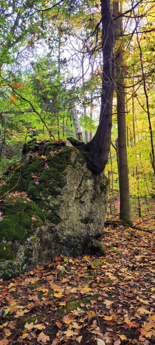 Фото представителя канала 