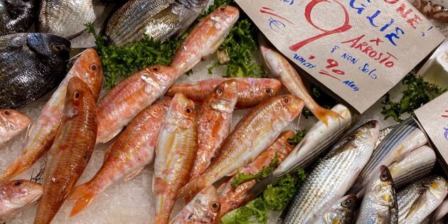 Изображение: Levi Hoonings / Unsplash📷
