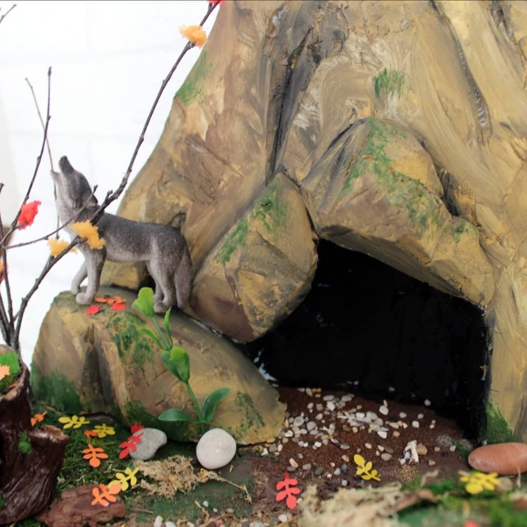 gray wolf habitat diorama