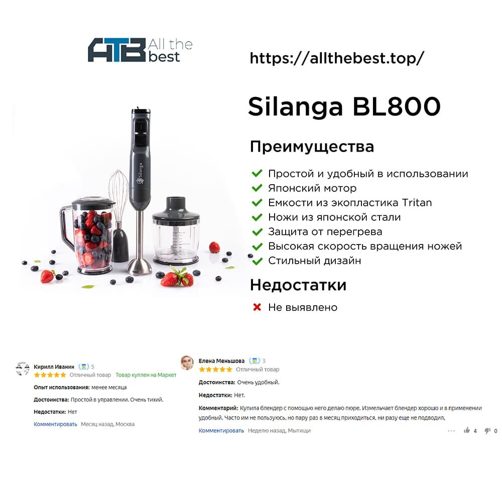 Блендер погружной Silanga BL800