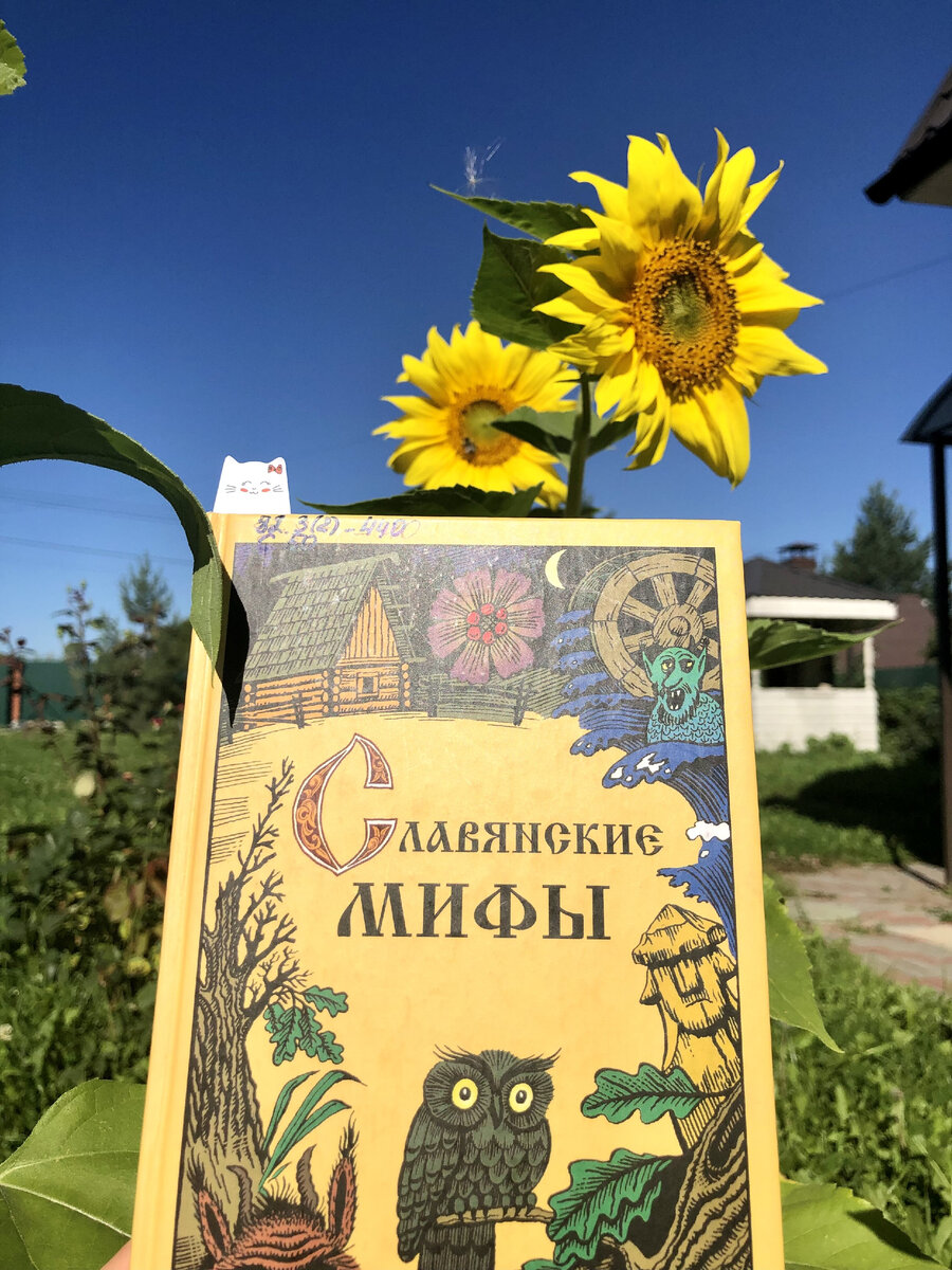 Книга, о которой и пойдет речь. Фото из личного архива