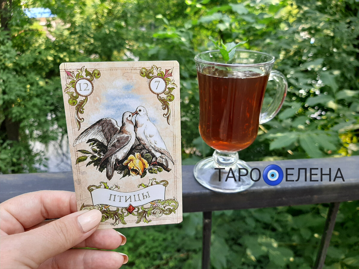 Фото автора. 