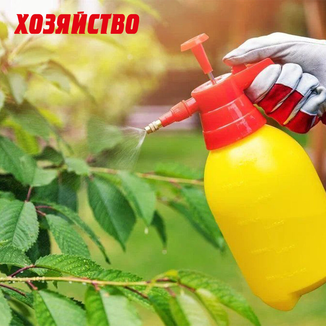 опрыскивание садовых деревьев. опрыскивание плодовых деревьев. обработка сада от вредителей.