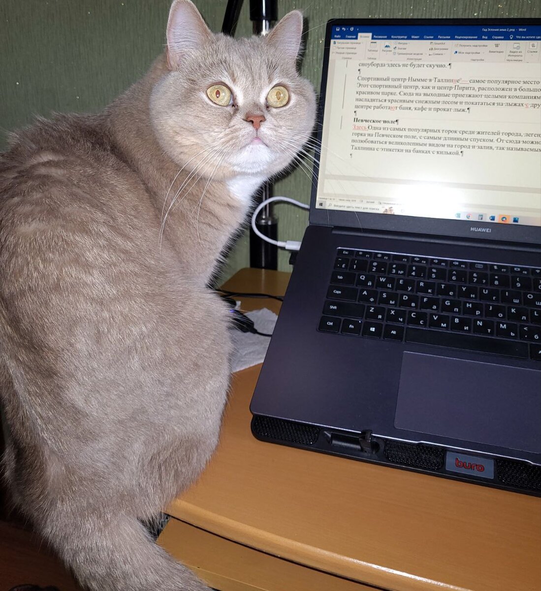 Помощница