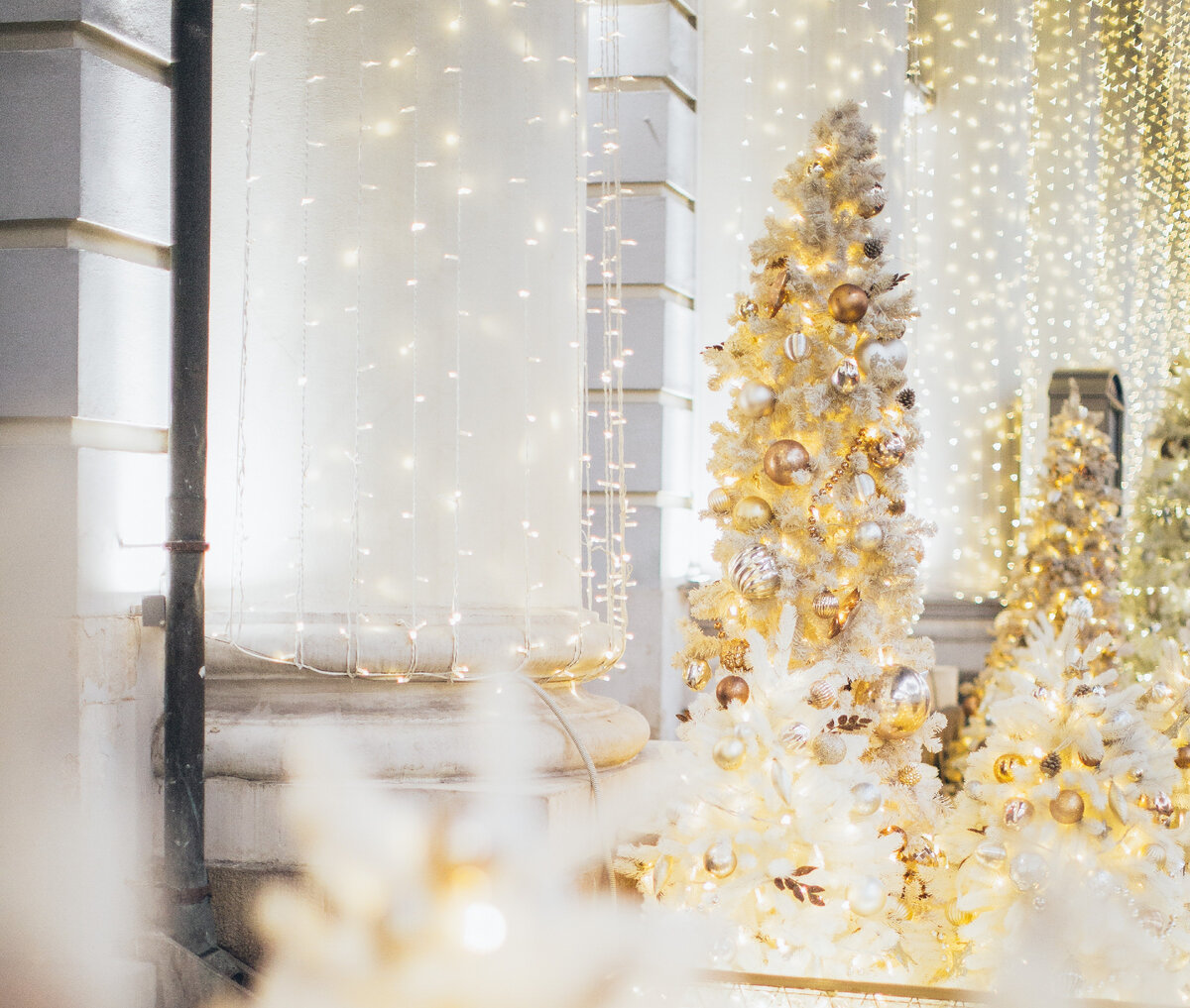 Фото из свободных источников