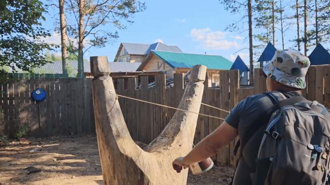 Шишкомет древности