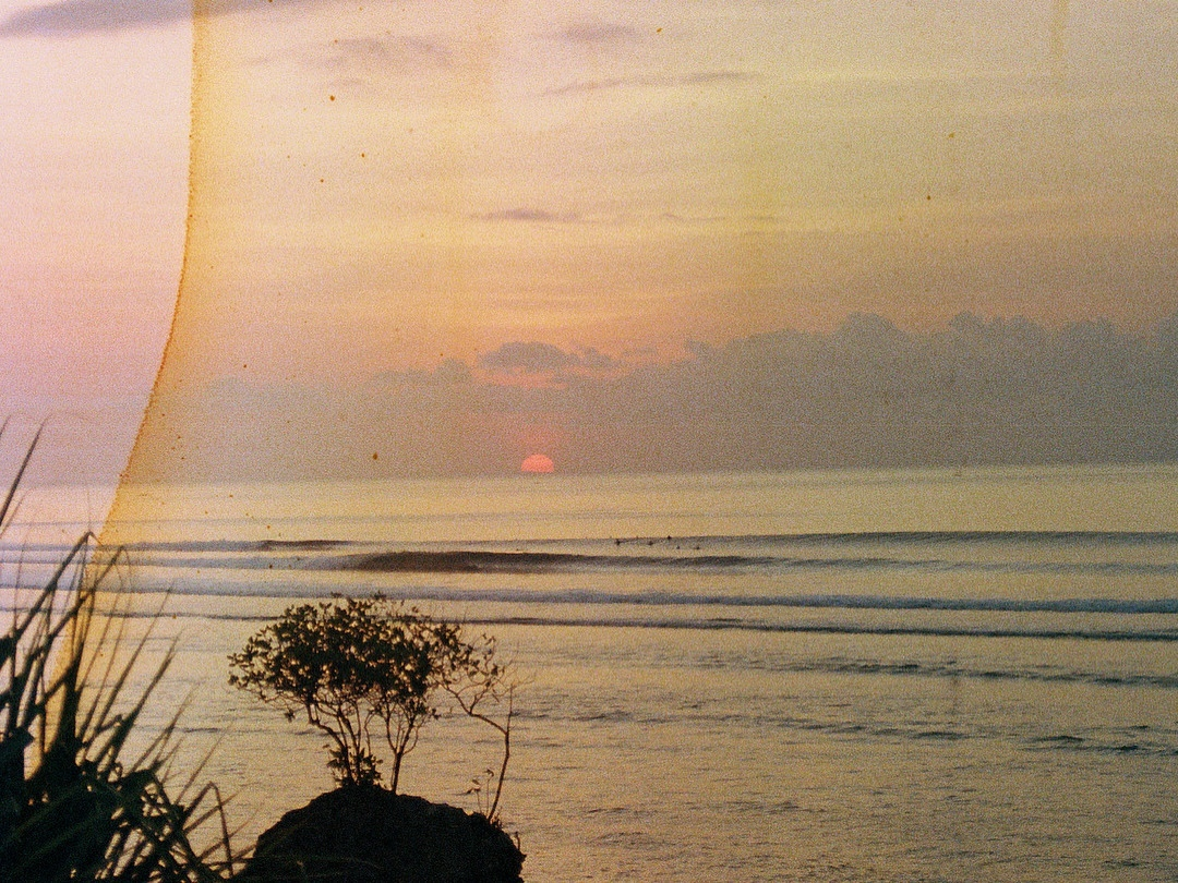 Изображение взято из Интернета 