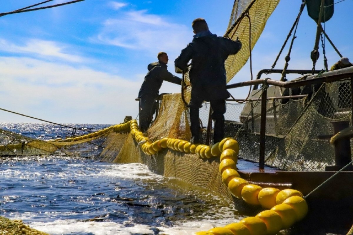    Житель Камчатки пытался незаконно провезти в багажнике 24 кг икры