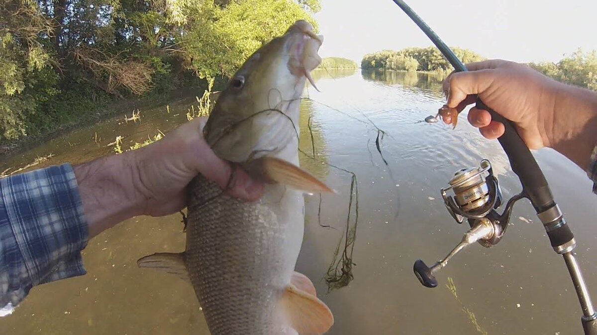 Миролюбивый трофей на спиннинг. 