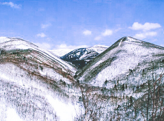 📍 Сопки - останки древних гор. Там живут медведи, волки и растут ягоды и грибы.