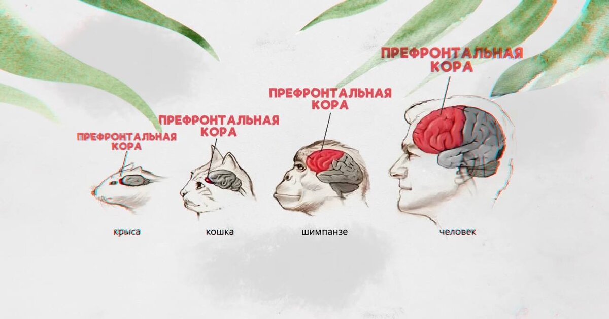 Ухудшение настроения