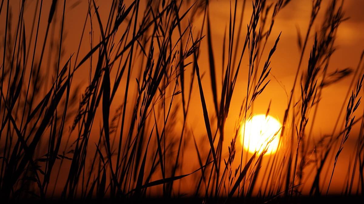    Фото: Анатолий Цымбалюк / Вечерняя Москва