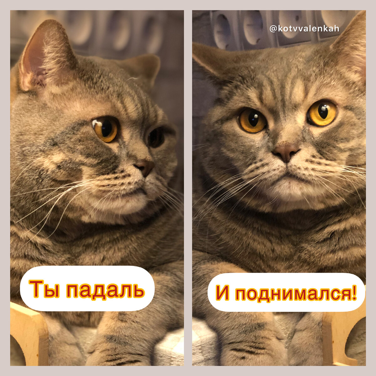 Пока оставлю здесь. Пока оставлю здесь. Изображение конец для стрима. Надпись пока. Пока оставлю здесь.