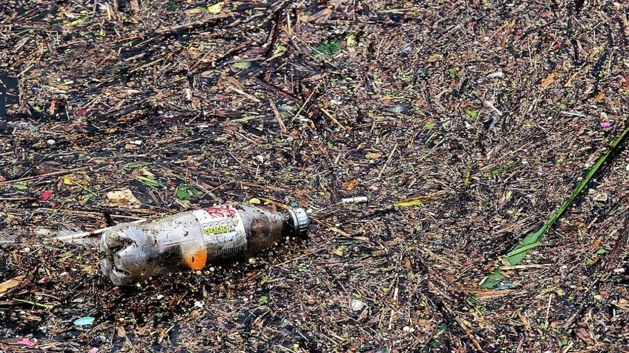     Ведомство обнаружило нарушение экологического законодательства в Кировском округе, следует из материалов дела.