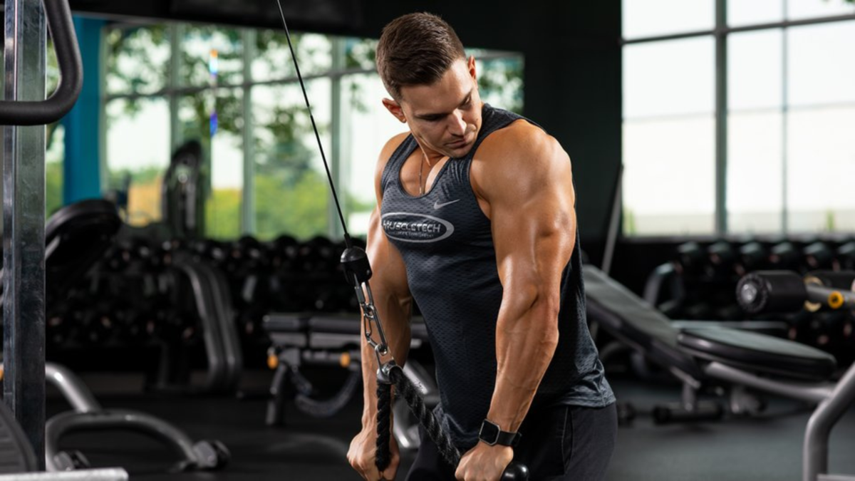 Arms training. Воркаутер трицепс. Мощный трицепс. Накаченный трицепс. Красивый трицепс у мужчин