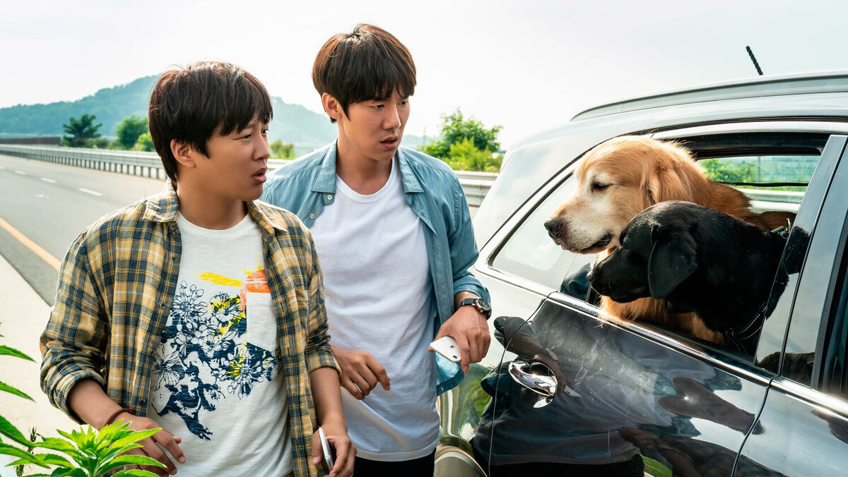 Кадр из фильма