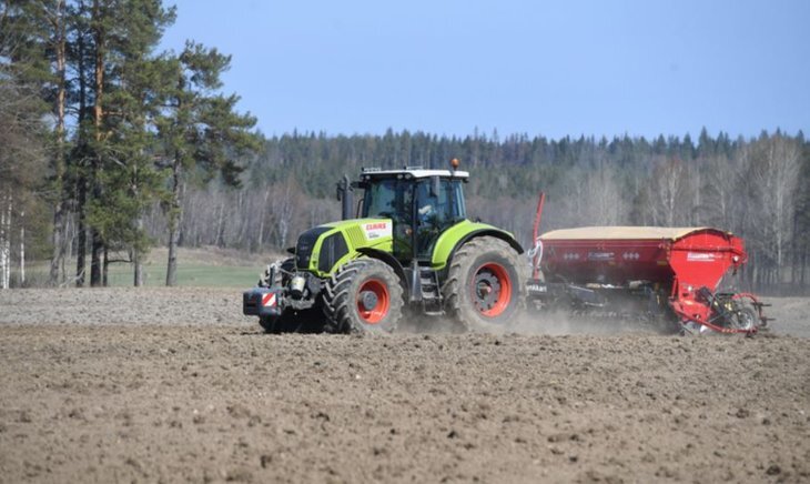    Площади озимого сева под урожай 2024 в Ленинградской области значительно расширены