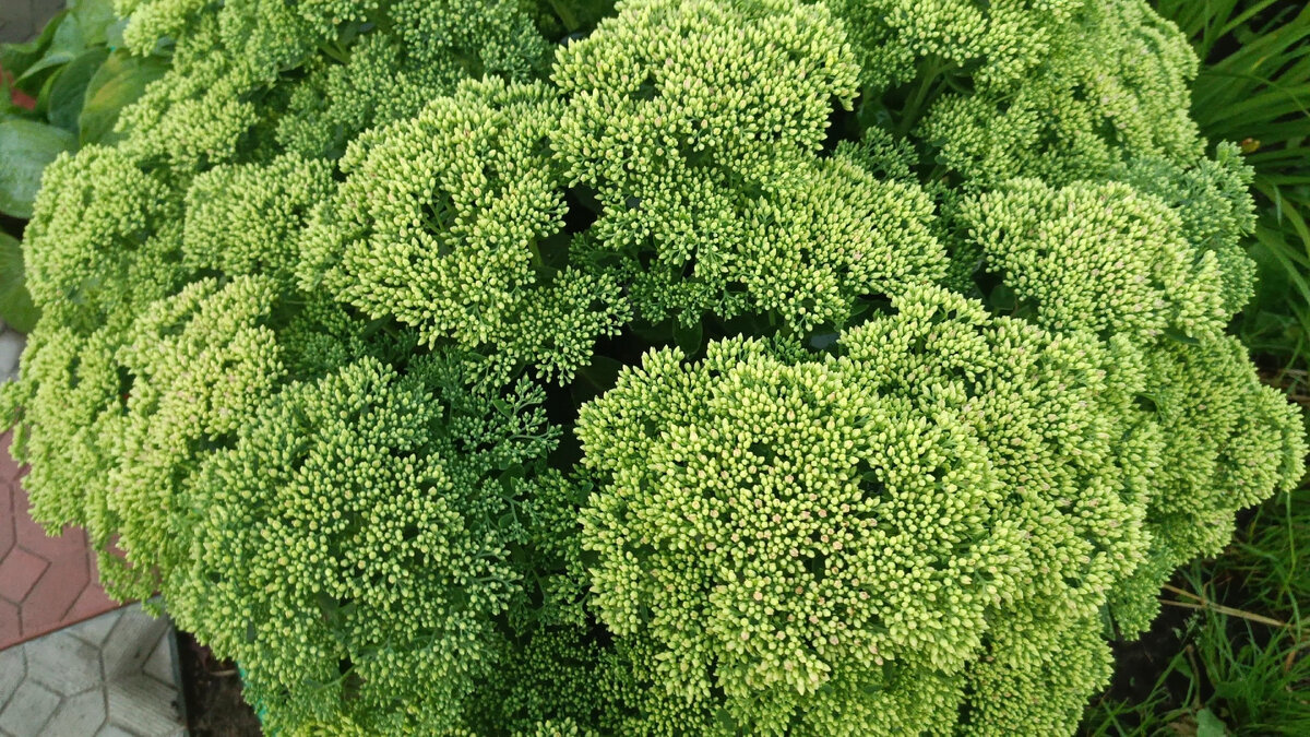 Фото автора статьи. 