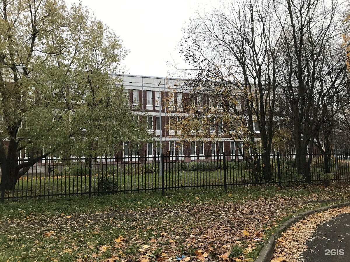 Гбоу сош 532 спб. Школа 691 санкт-петербург. Гимназия 148 им сервантеса. Школа 795 новогиреево. Школа 238 спб.