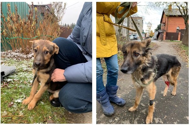 Восстановление шло не быстро