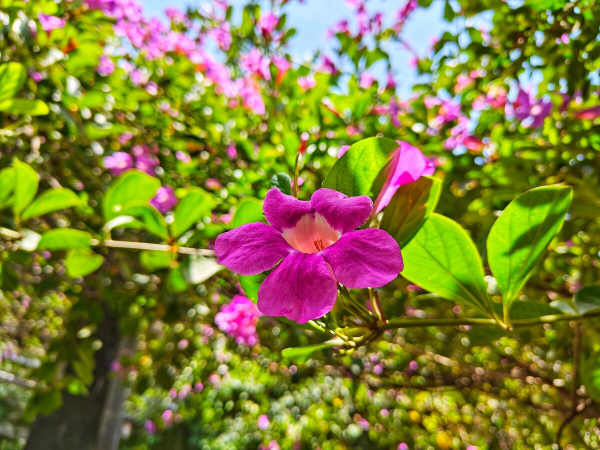 Фото с бесплатного фотоистока https://unsplash.com, автор Kumar Vivek