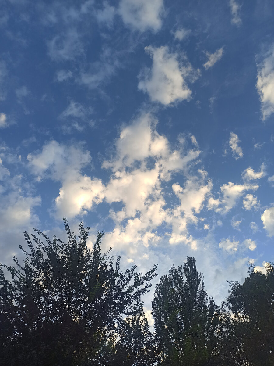 Фото автора канала. Как раз с прогулки в понедельник.