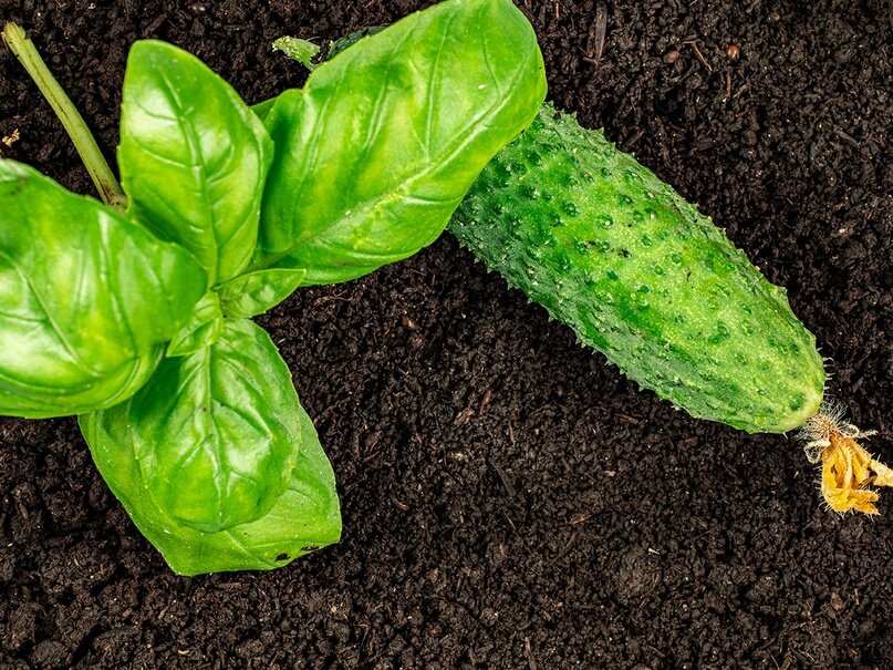 Добавьте описание