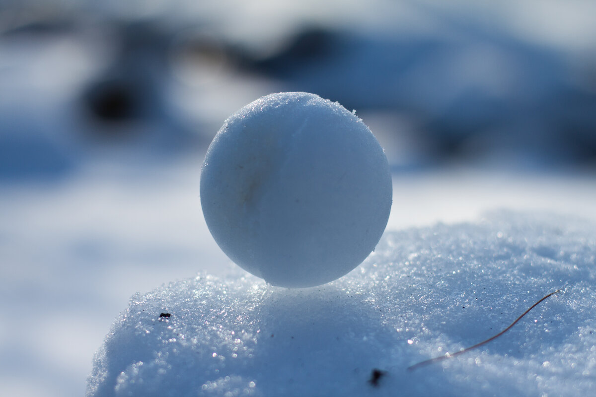 Тема снежок. Снежок. Снежный ком стратегия. Snow Ball Hawkins. Mishkie Snow balls.