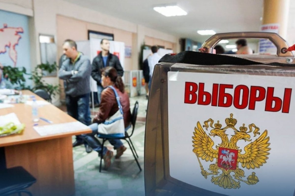    Чибис: 93% мандатов получили кандидаты от «ЕР»