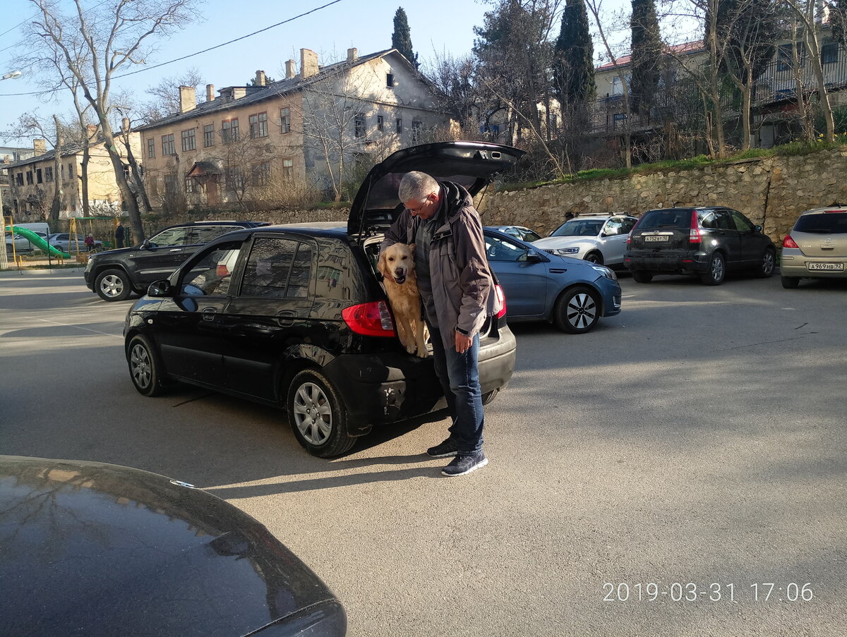 Фото сделано ещё  ДО описываемых событий.