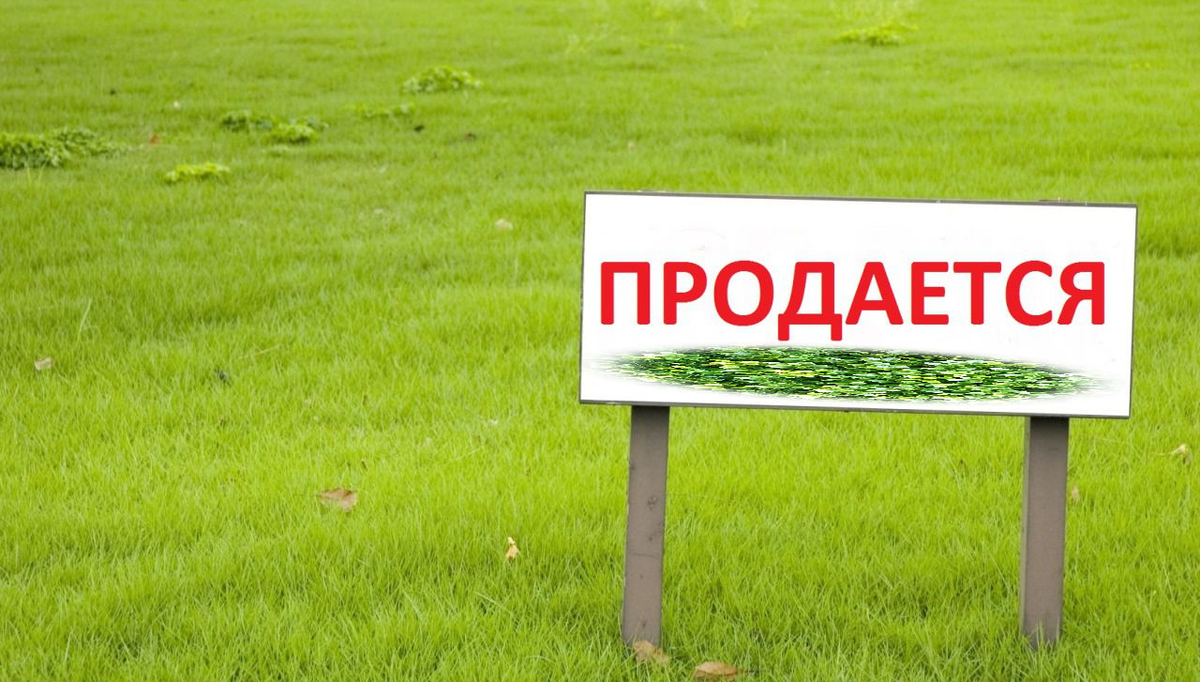 Землю под аренду. Табличка продается участок. Продажа земли. Продается земельный участок картинка. Срочный выкуп земельных участков.