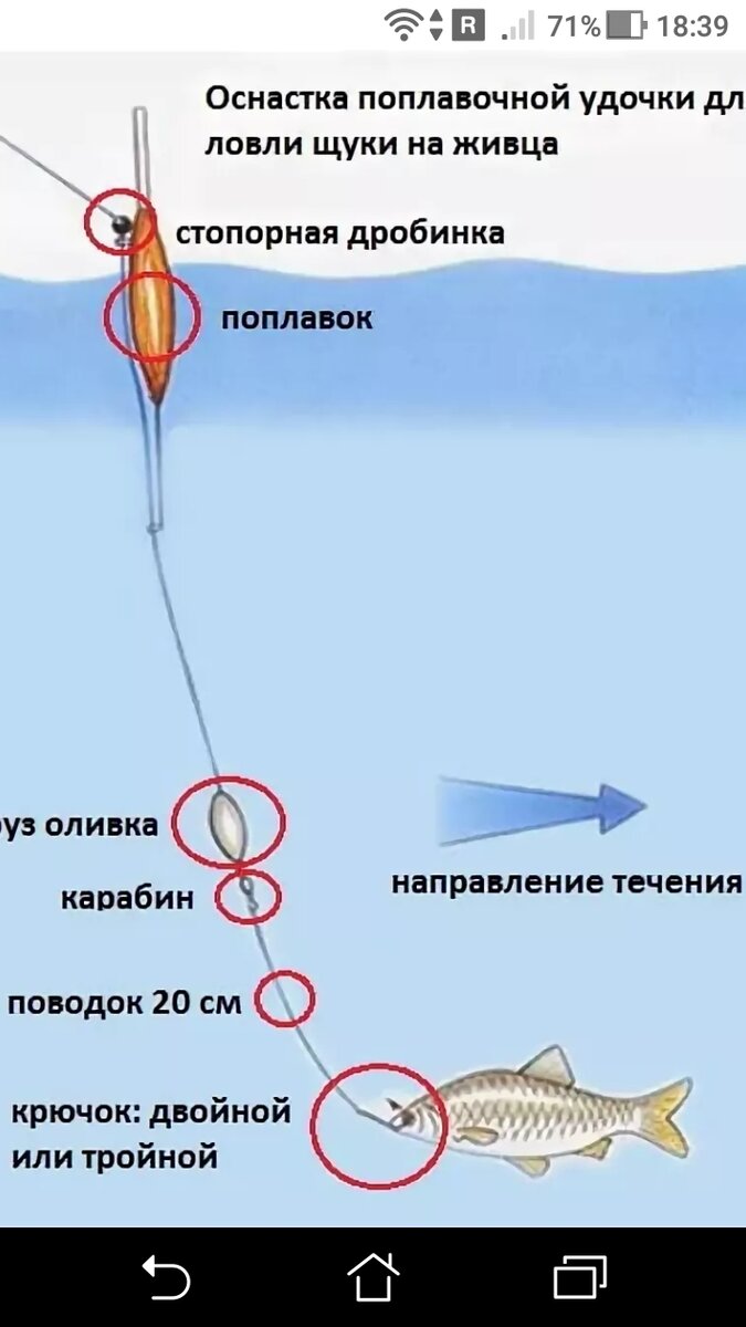 Ловля щуки на донку: снасть и виды оснастки, тактика рыбалки