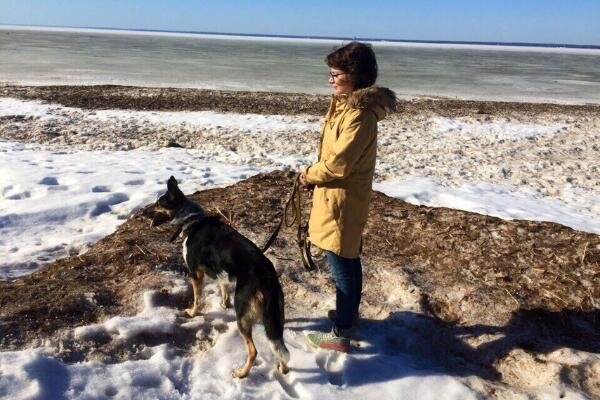 Мария Коробова / КРАСНЫЙ СЕВЕР